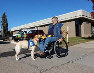 Good match between the person’s needs and the connection with the dog