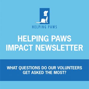 Helping Paws Newsletter: Summer 2022
