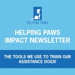 Helping Paws Impact Newsletter