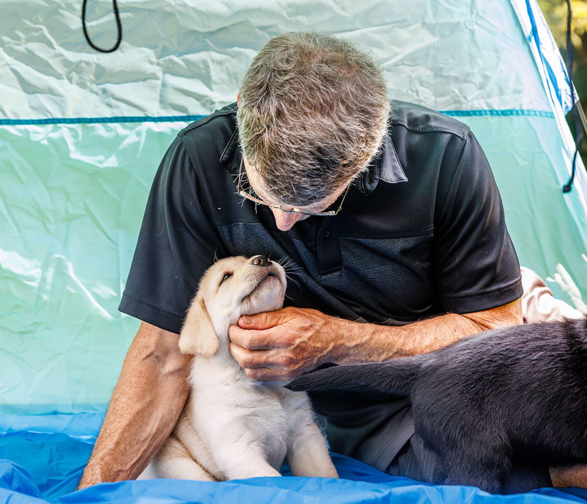 puppy and guy looking at each other