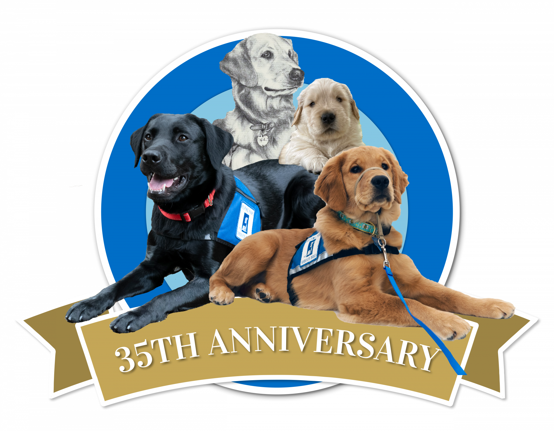 35-anniversary-logo-transparent-02-helping-paws