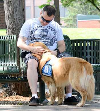 Service Dogs for Veterans