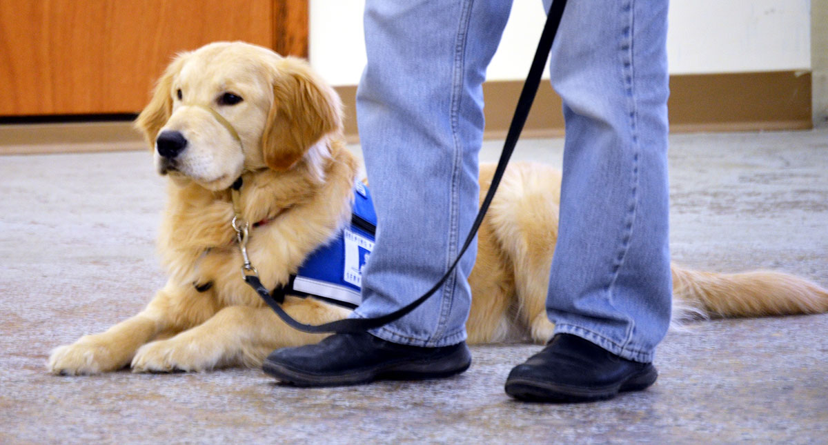 They Needed Each Other: Our First Veteran/Service Dog Team