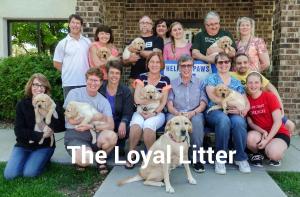 Loyal Litter and their dam Karma